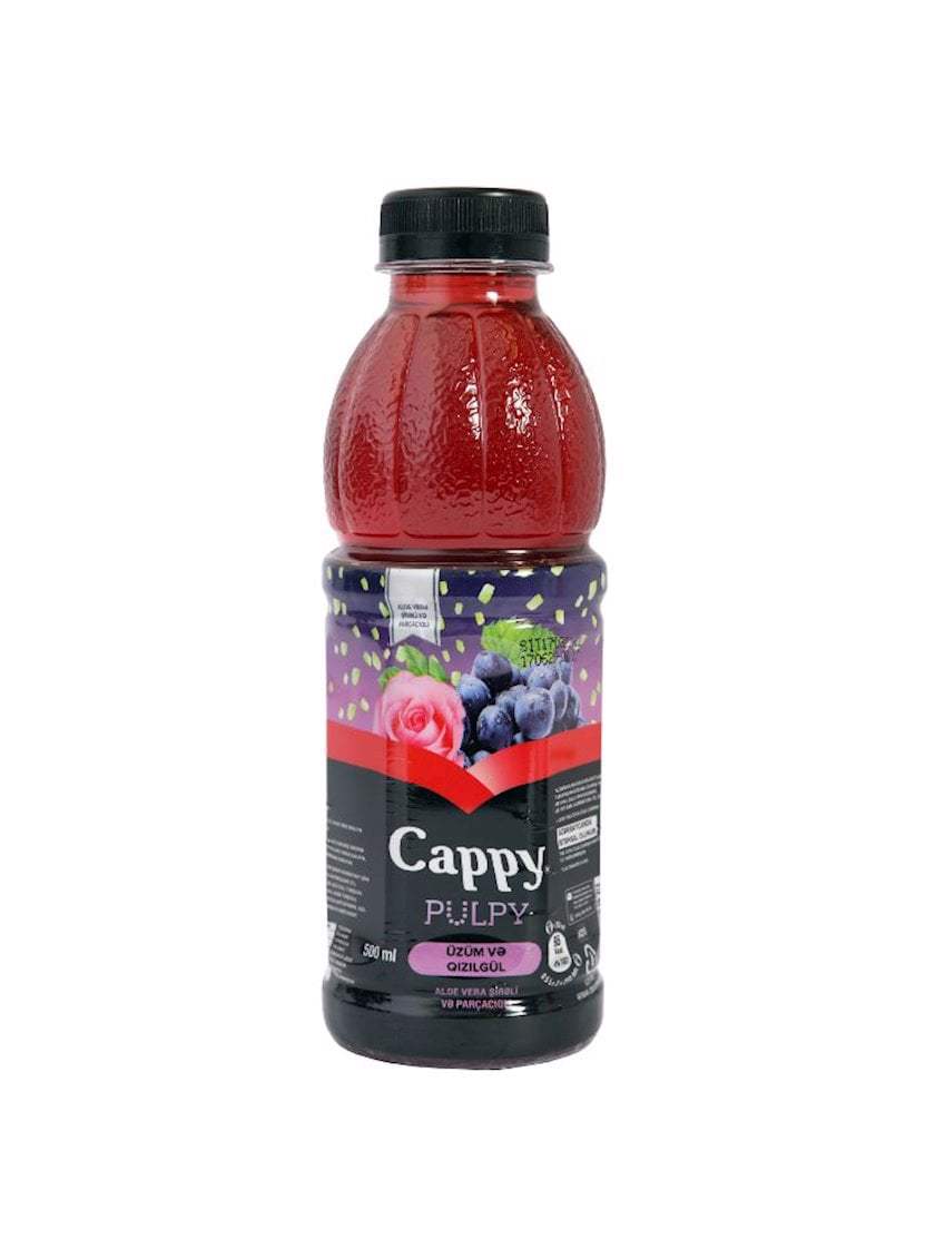 Cappy (0.5) L